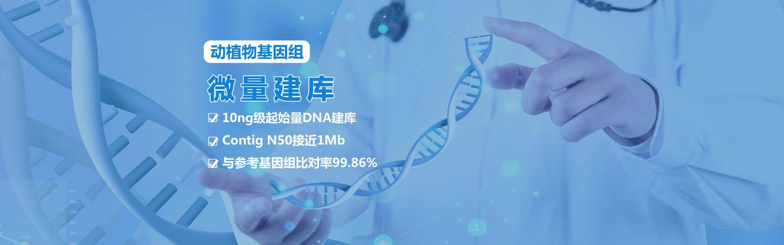 贝纳检测